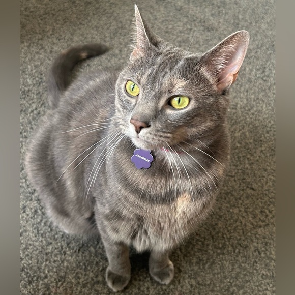 SPARKLE_SUSAN IS LIVE! 🧡 - Picture 5 of 5